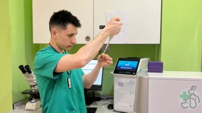 analítica veterinaria en castellon por ximo en centre verinari de la plana