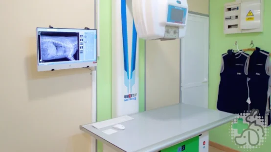 sala de radiografía veterinaria de perros y gatos de la clínica de castellón