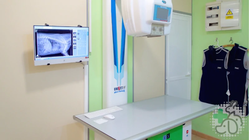 sala de radiografía veterinaria de perros y gatos de la clínica de castellón