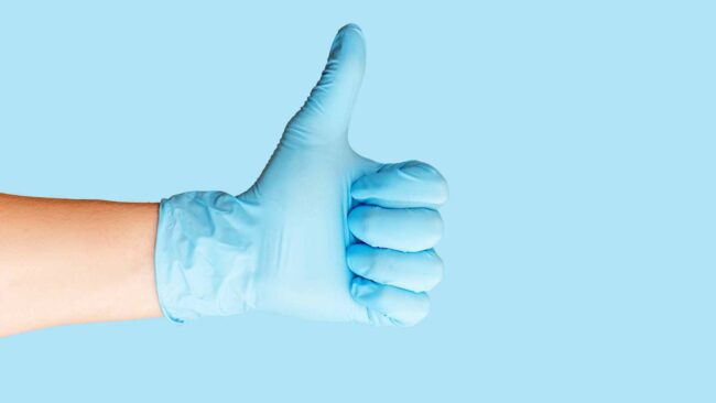 esterilización de las mascotas