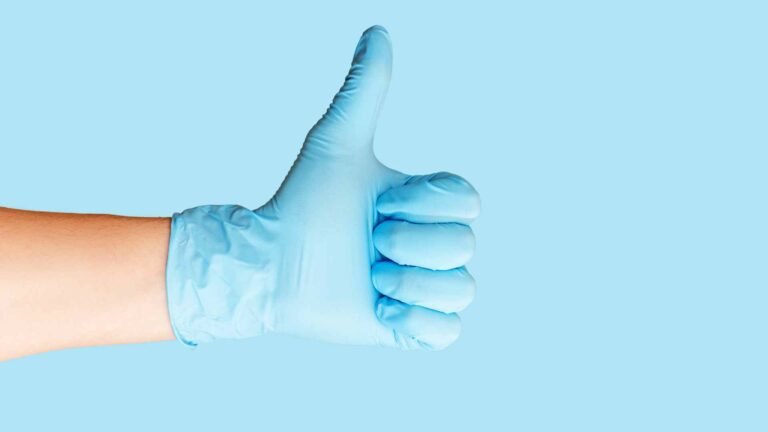 esterilización de las mascotas